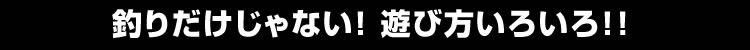釣りだけじゃない！遊び方いろいろ！！